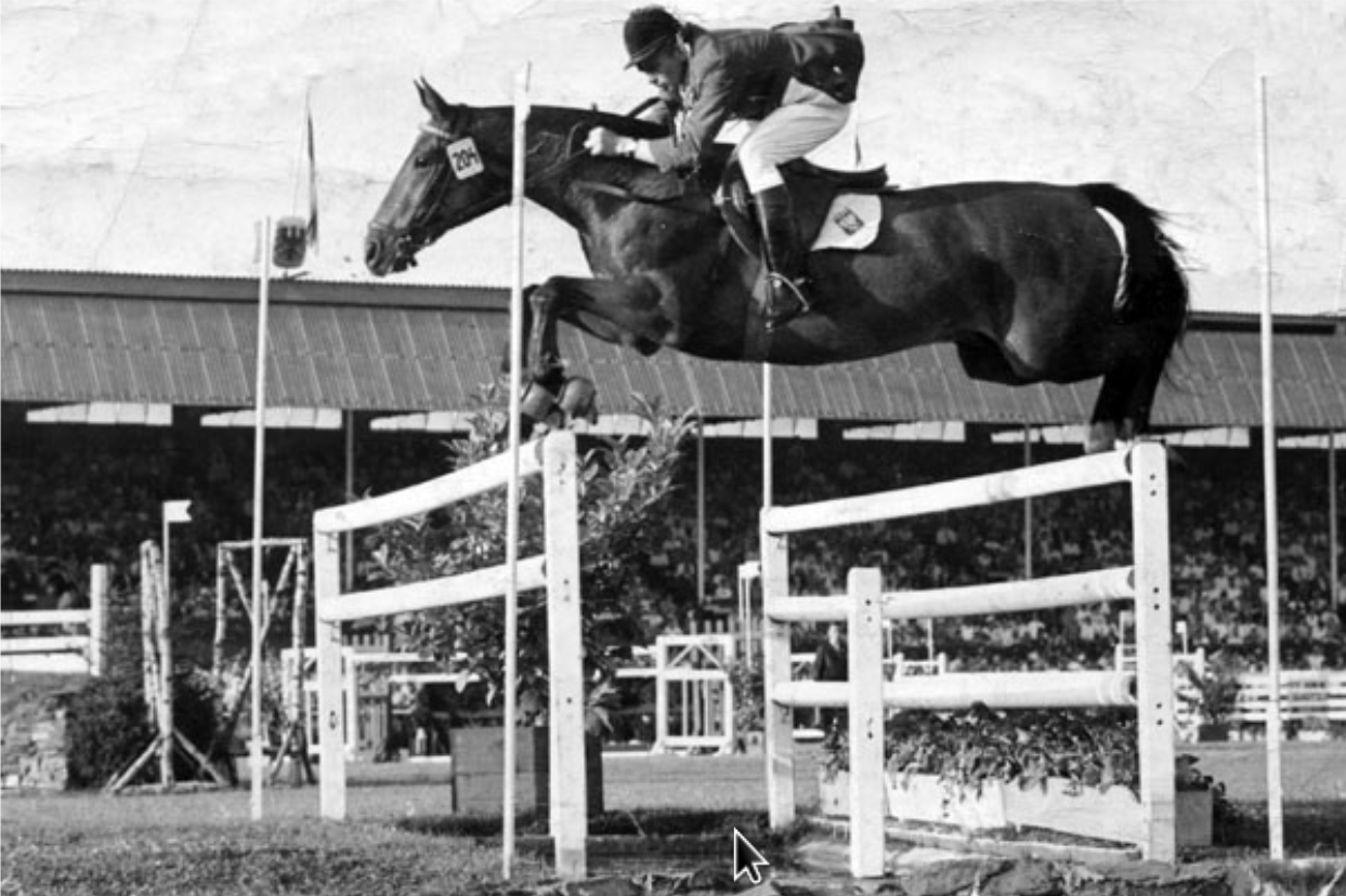 Marian Kowalczyk, Polish Showjumper